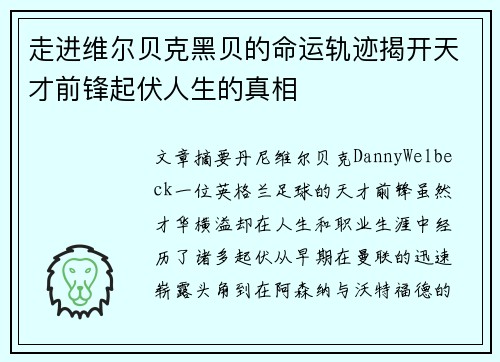 走进维尔贝克黑贝的命运轨迹揭开天才前锋起伏人生的真相
