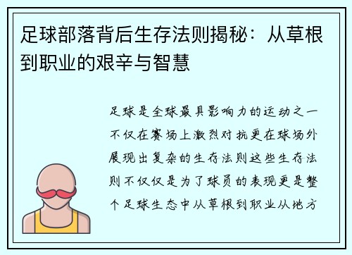 足球部落背后生存法则揭秘：从草根到职业的艰辛与智慧